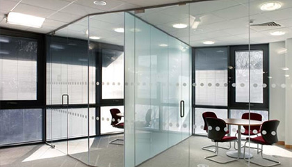 Frameless Glass Partitions